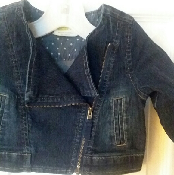 Crazy 8 Girls Denim Jacket - Picture 4 of 6